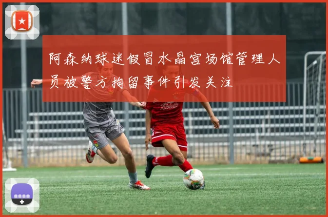 阿森纳球迷假冒水晶宫场馆管理人员被警方拘留事件引发关注